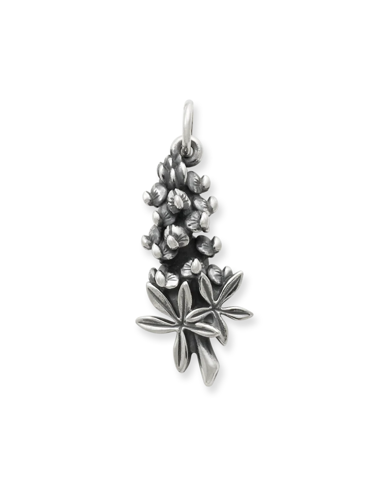 Bluebonnet Charm