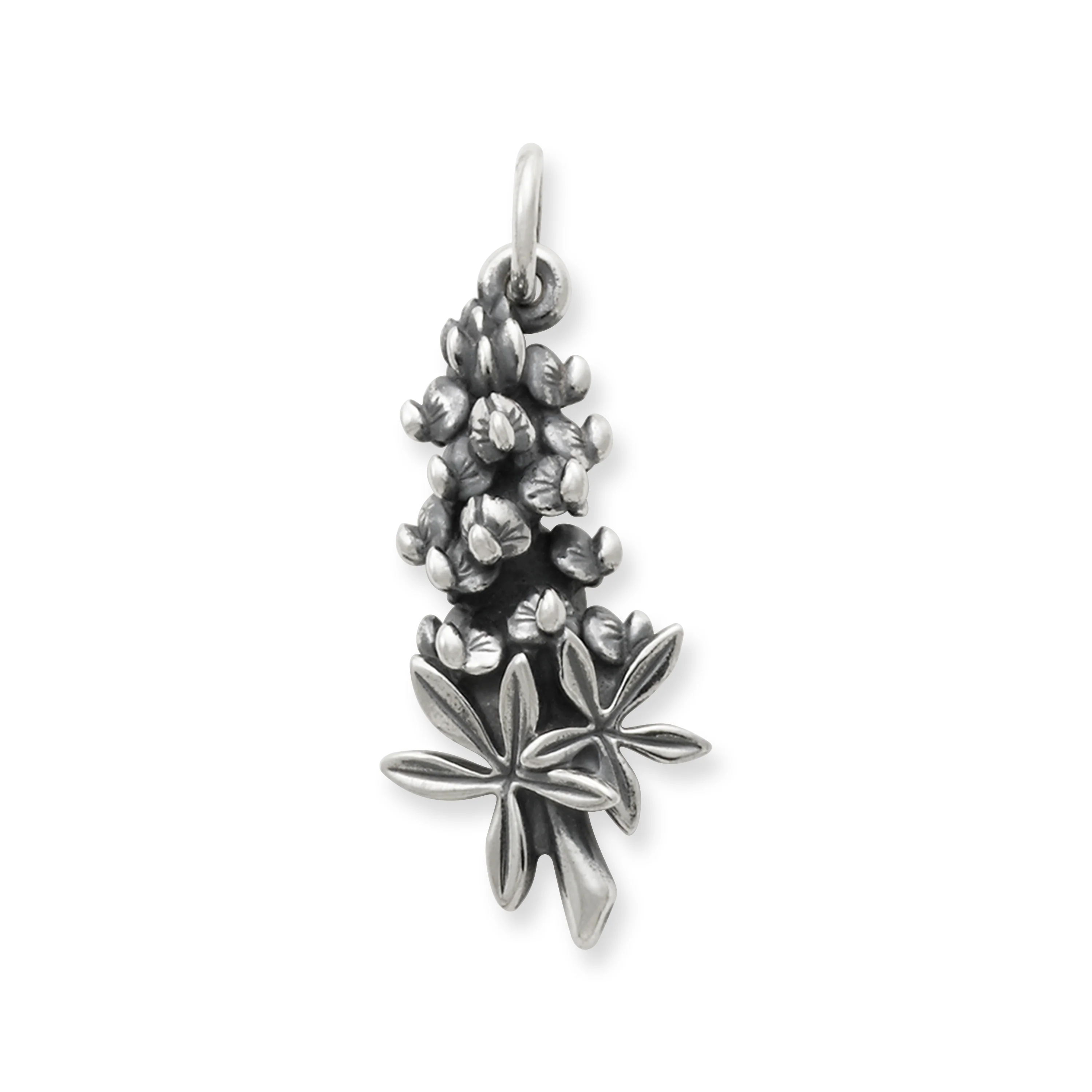 Bluebonnet Charm - Image 2