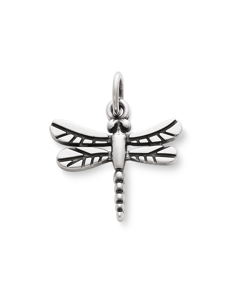 Dragonfly Charm