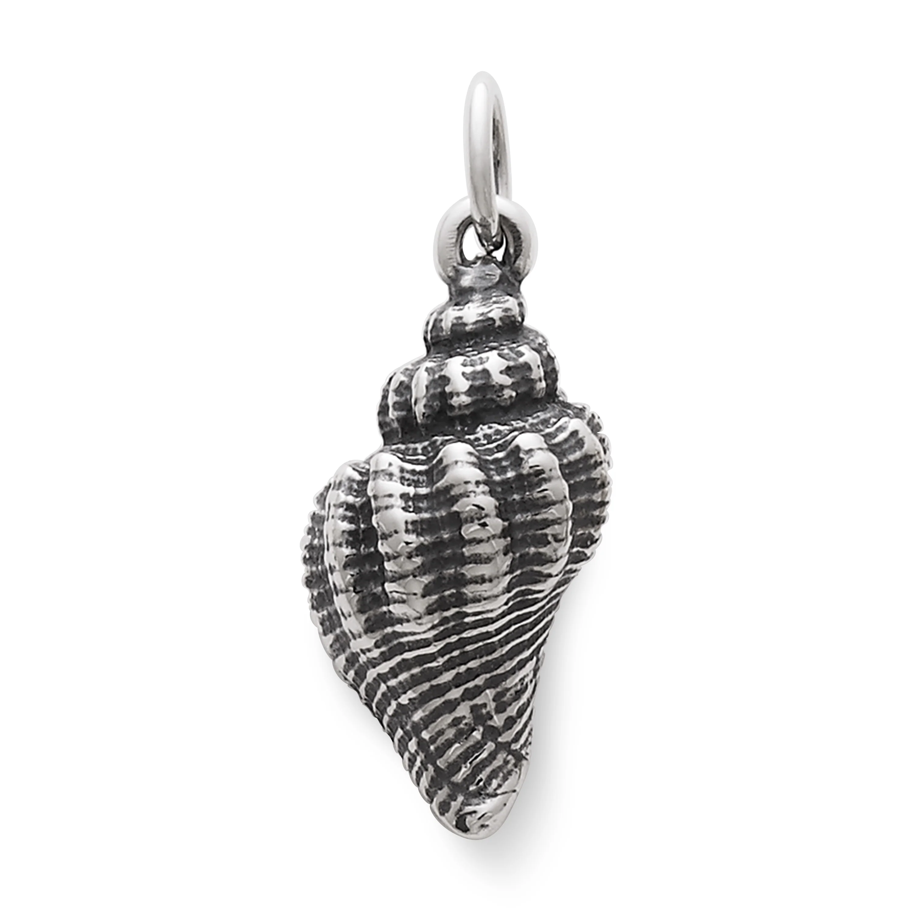 Fluted Conch Shell Charm - Image 2
