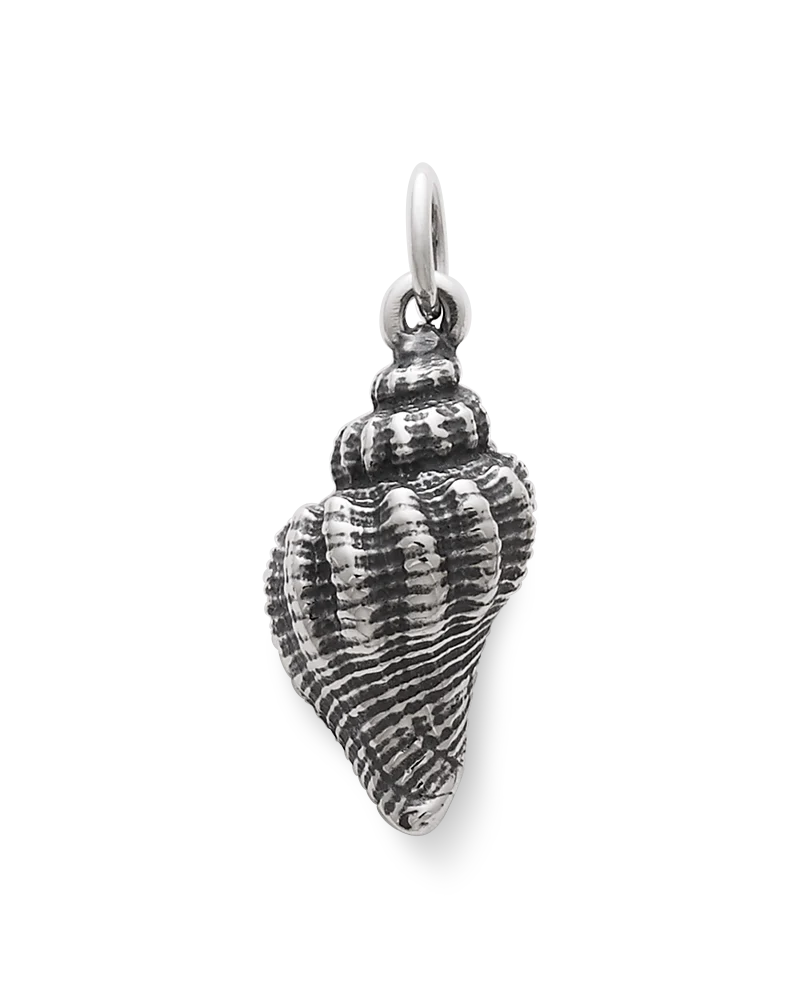 Fluted Conch Shell Charm - Image 3