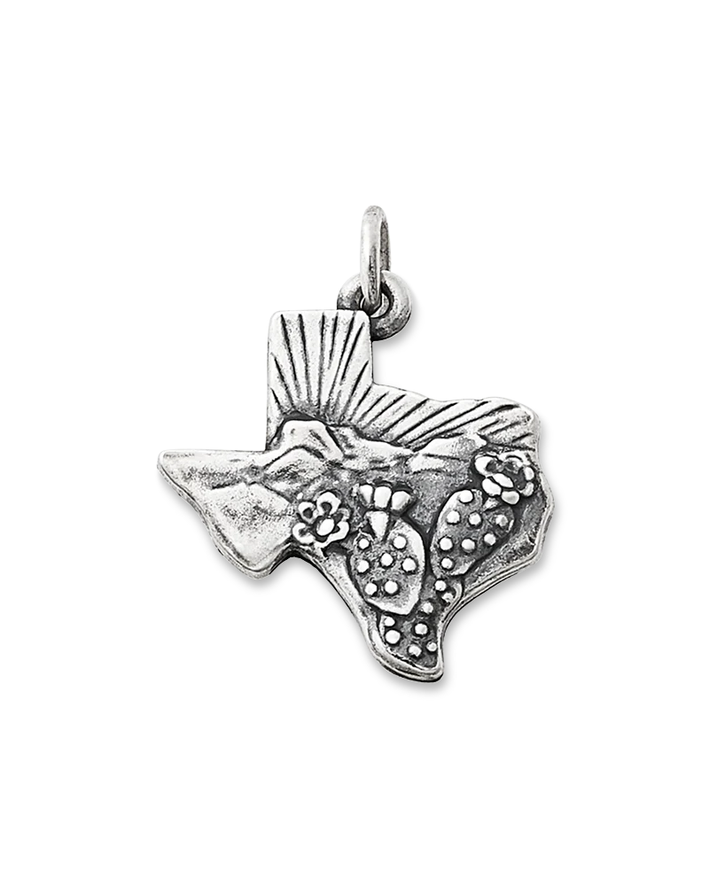 Texas Landscape Charm