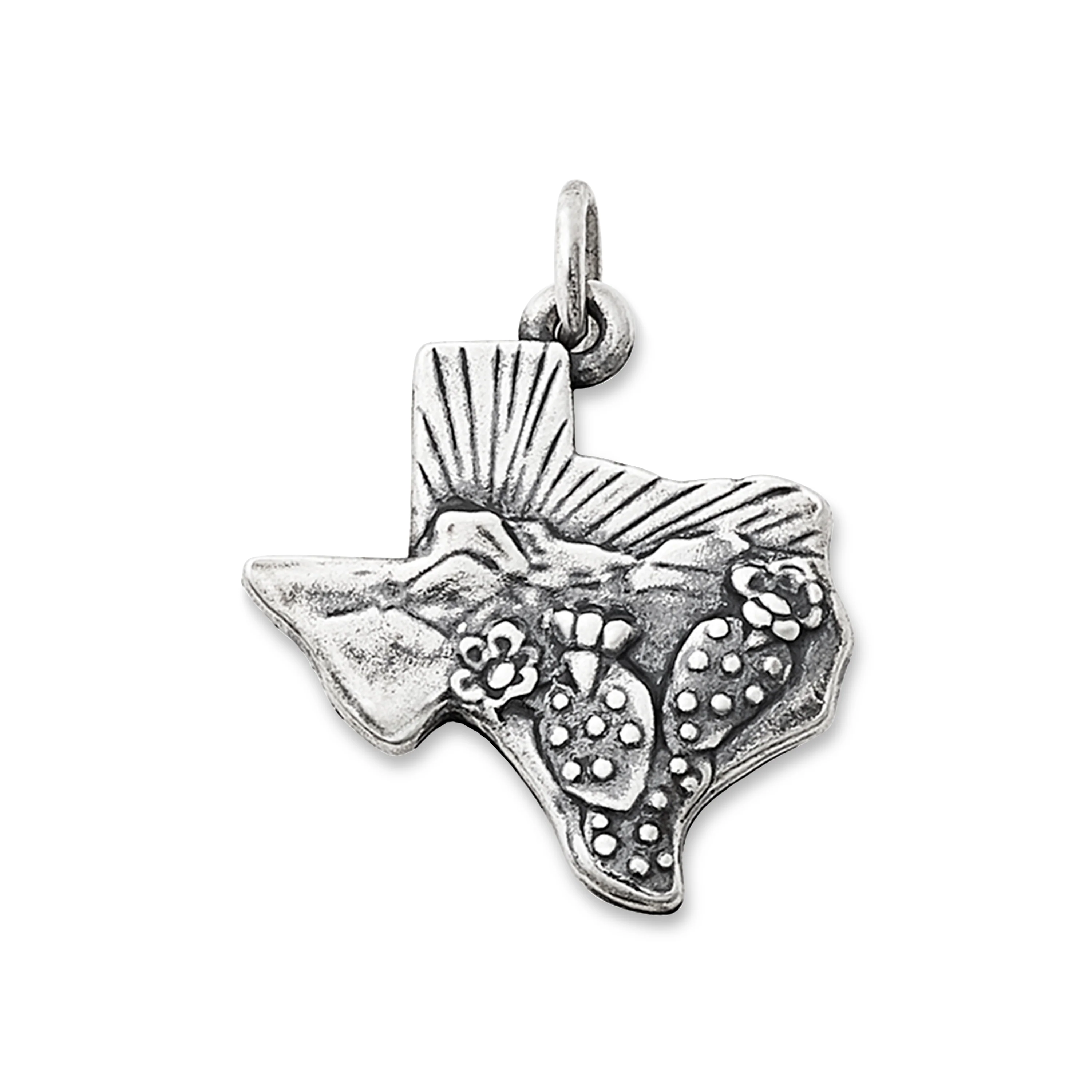 Texas Landscape Charm - Image 2